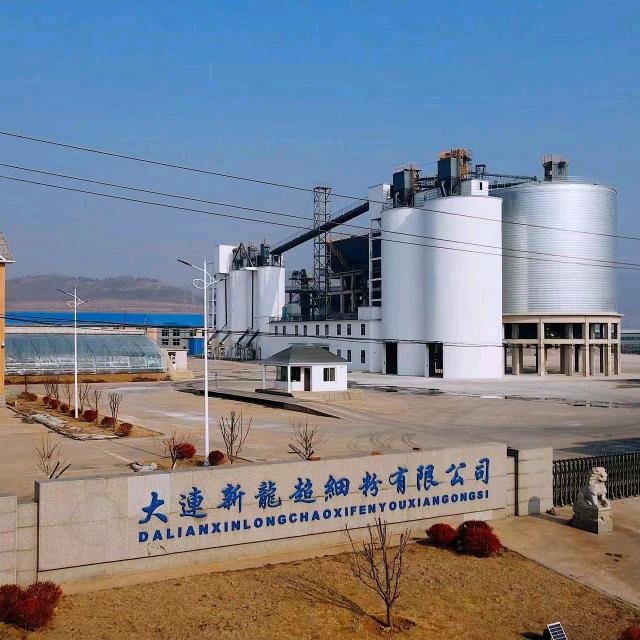 大连新龙超细粉有限公司