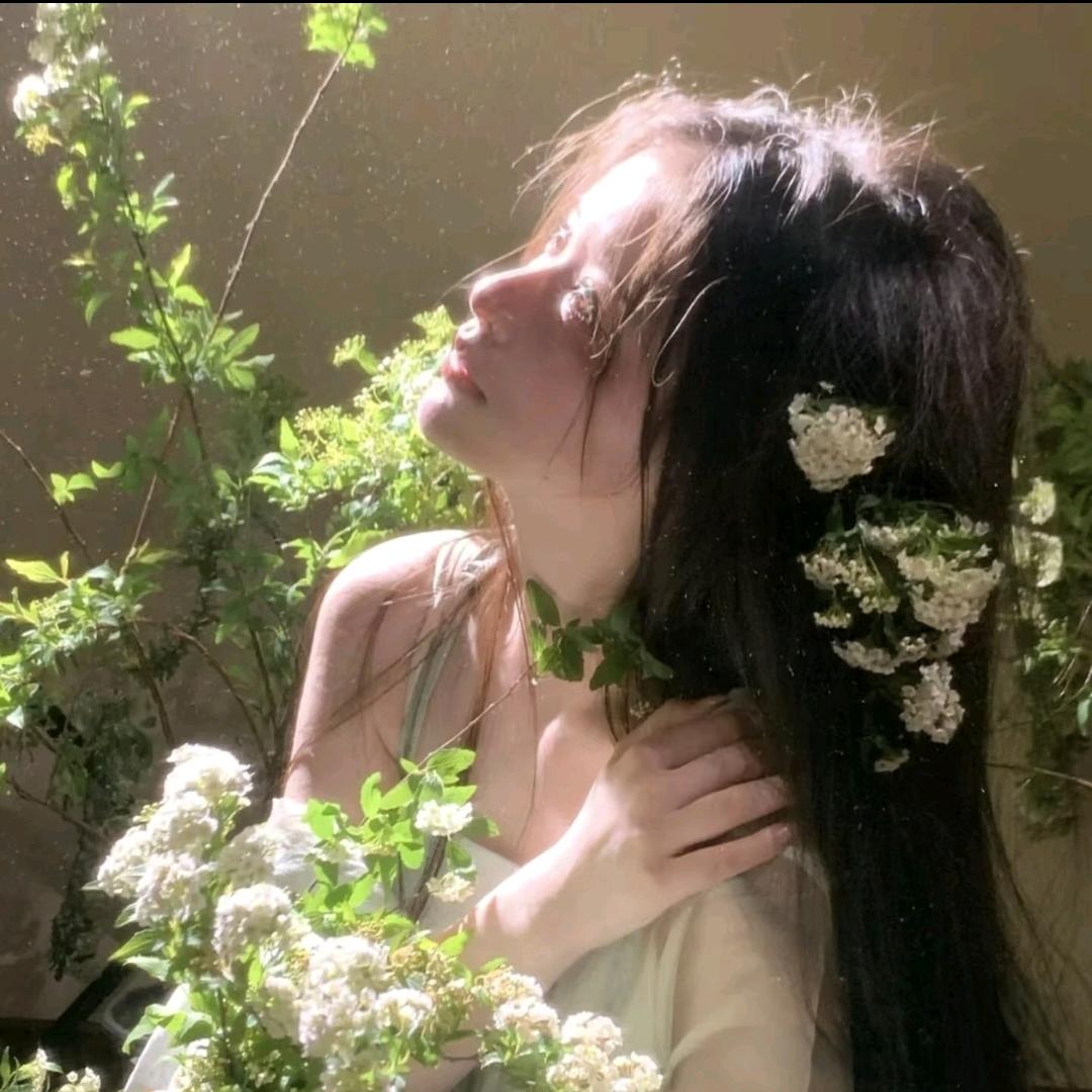 槐序深巷头像