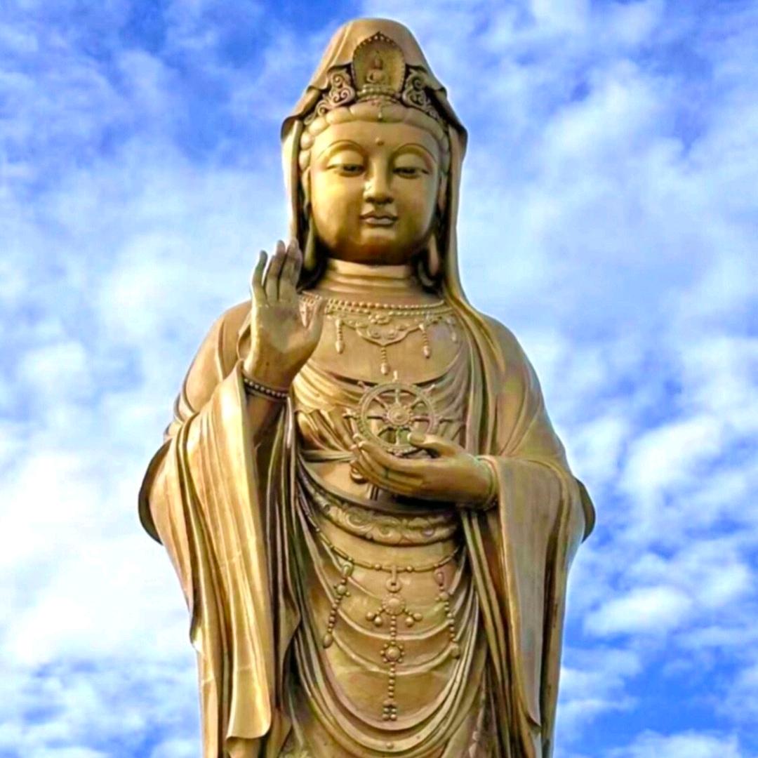 天天美好￥闫