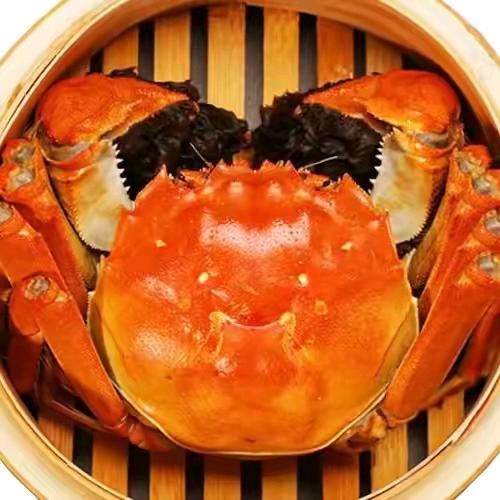 精品淮扬菜