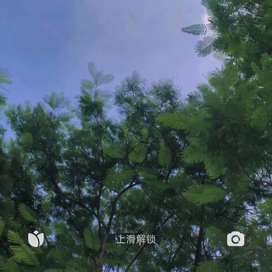 遇见你-家居日用