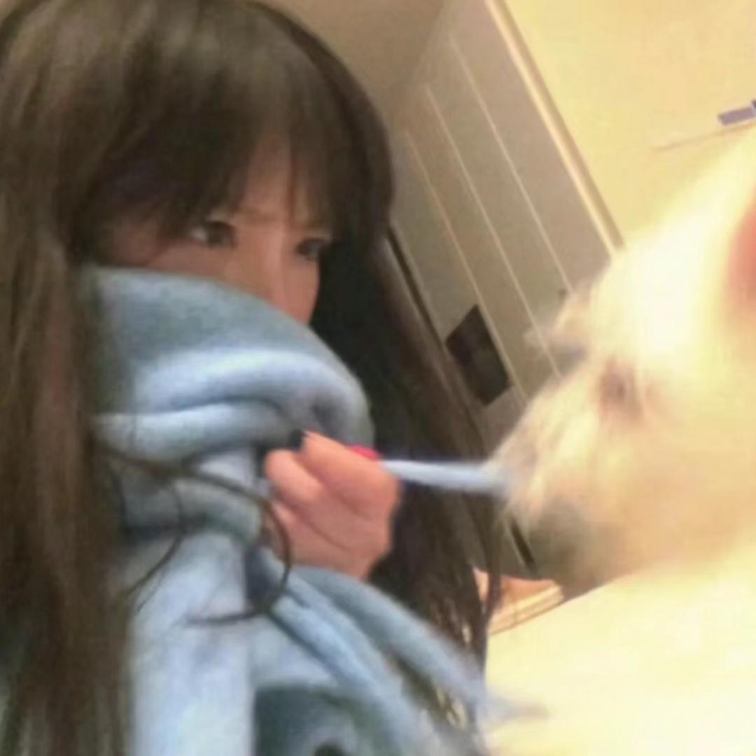 橘子精精精