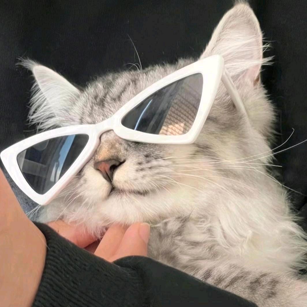 hui hui