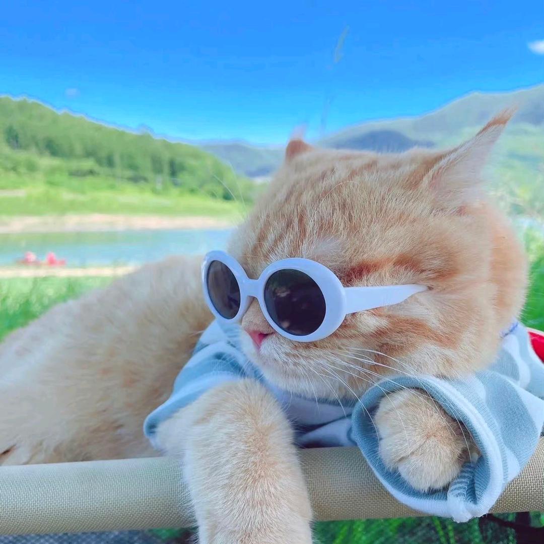 嘉宝育儿碎碎念