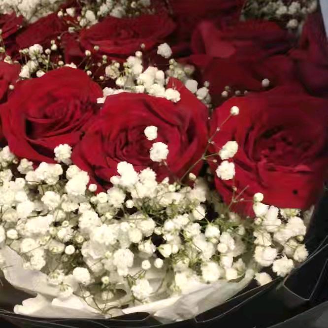 开开心心过好每一天