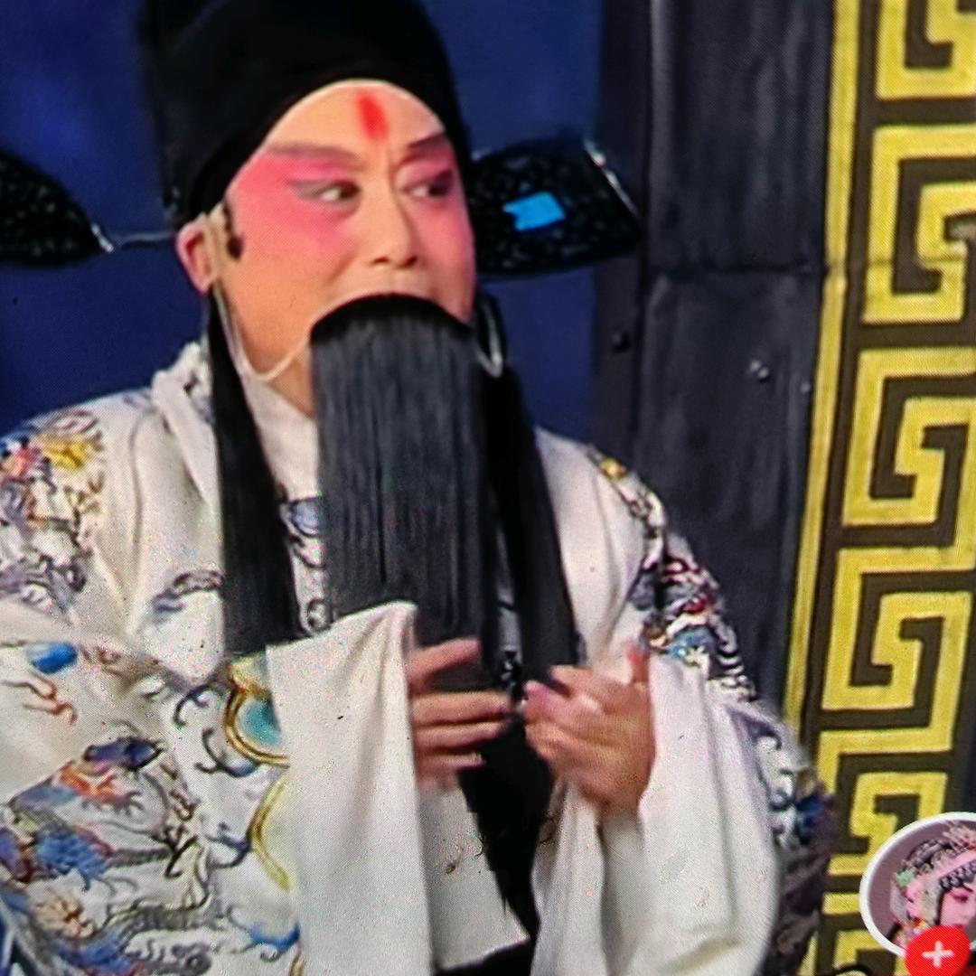 豫东杨哥