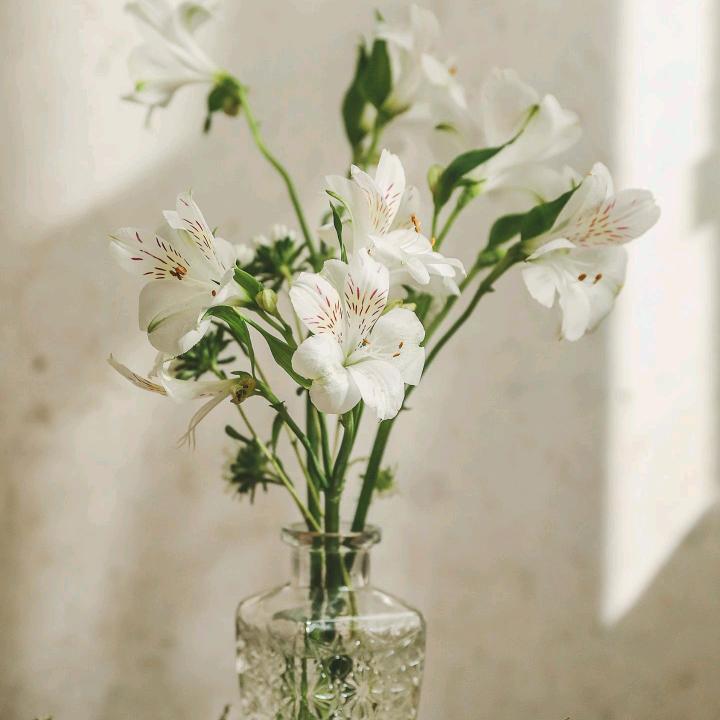 有来有去(´｡✪ω✪｡｀)