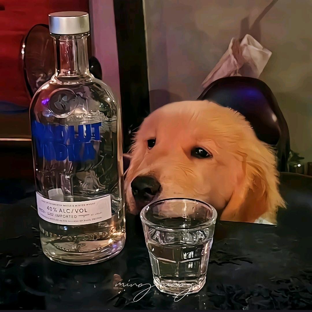 阿羽想睡觉