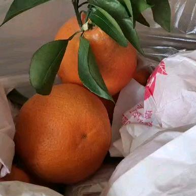 一竿一线钓一天