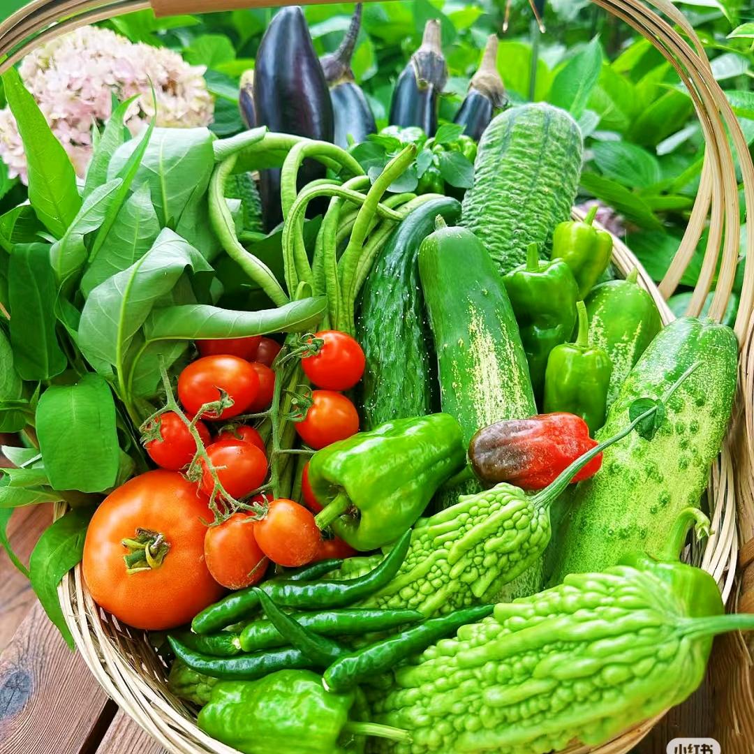 小芸爱种菜