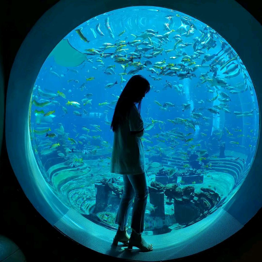 travel angel——婷仔