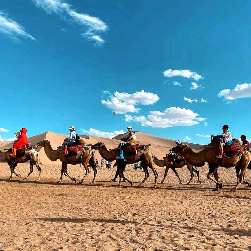 环岛青甘咨询（青甘本地地接）