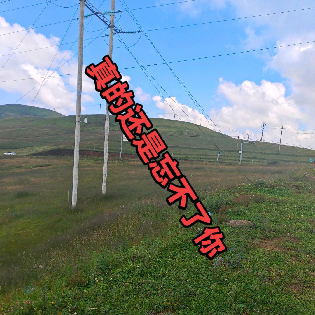 @苦瓜哥来自农村