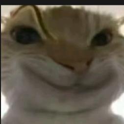 三角洲特别行动小组