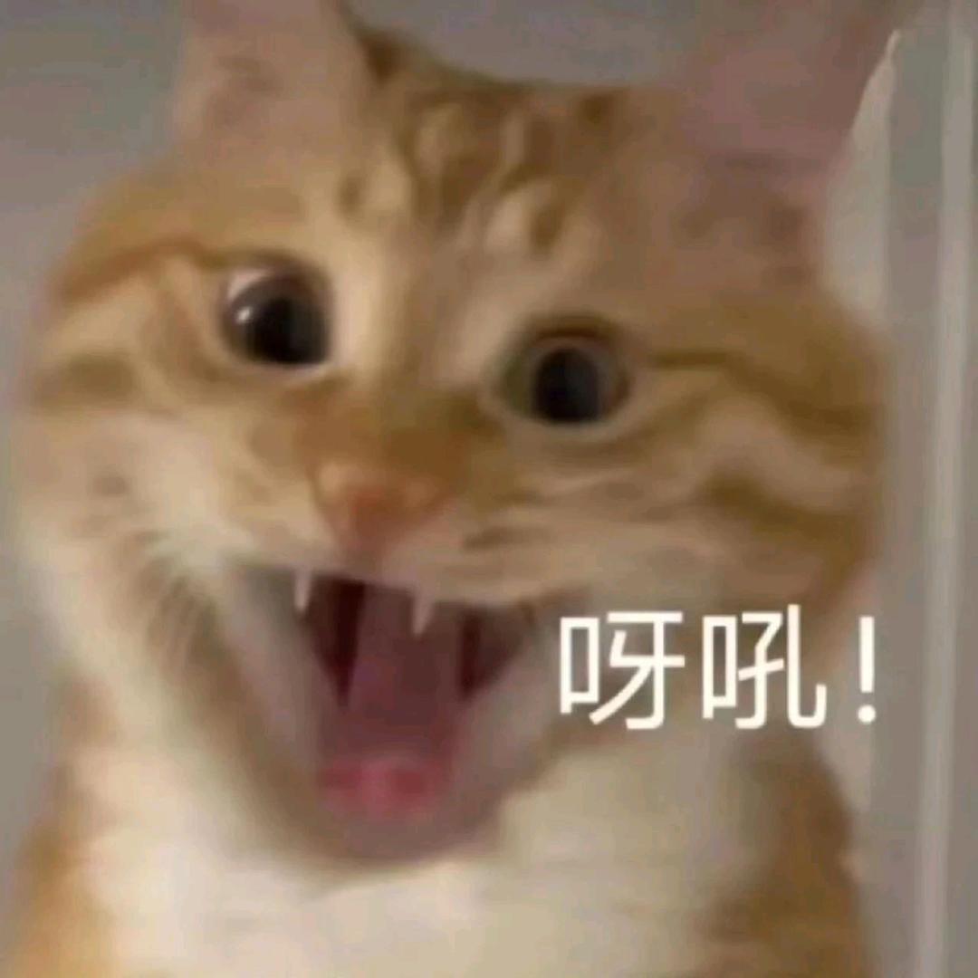Svvol