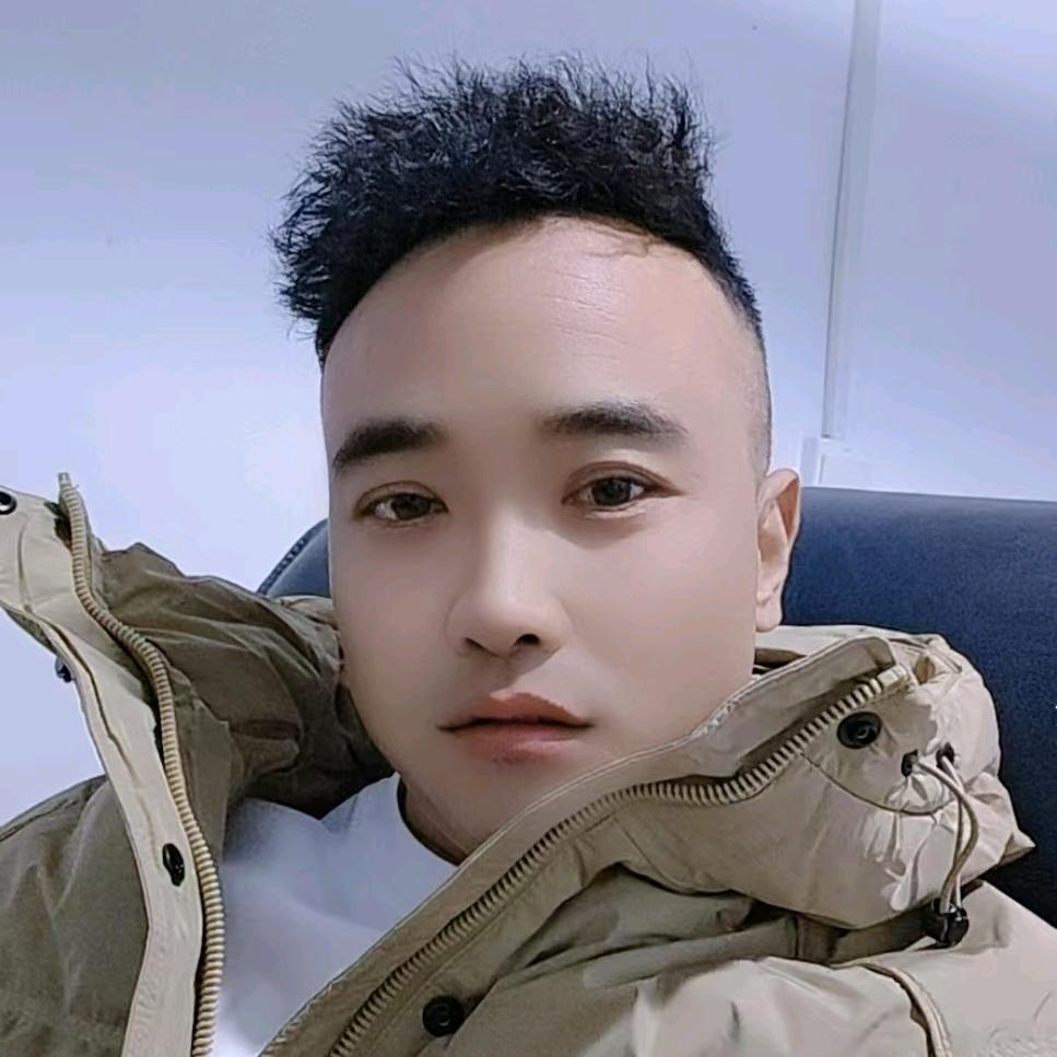 武汉老王俊辰千元二手车