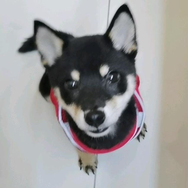 青沐小掌柜