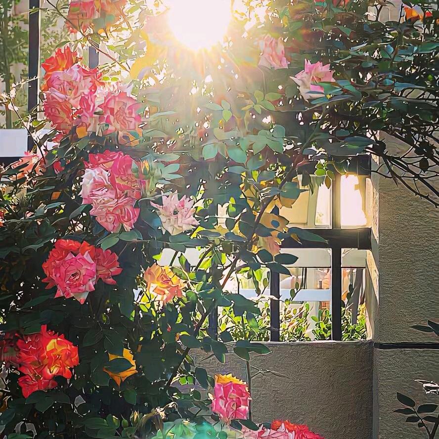 💞ℒᎭℯ⃝余生ᩚ安ᮨ໌້好࿐