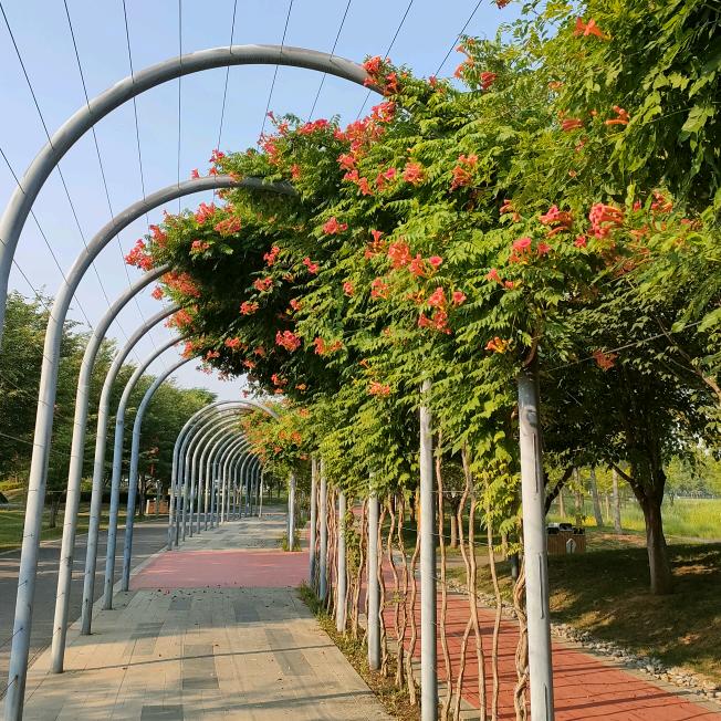 🍎幸福的港湾♥