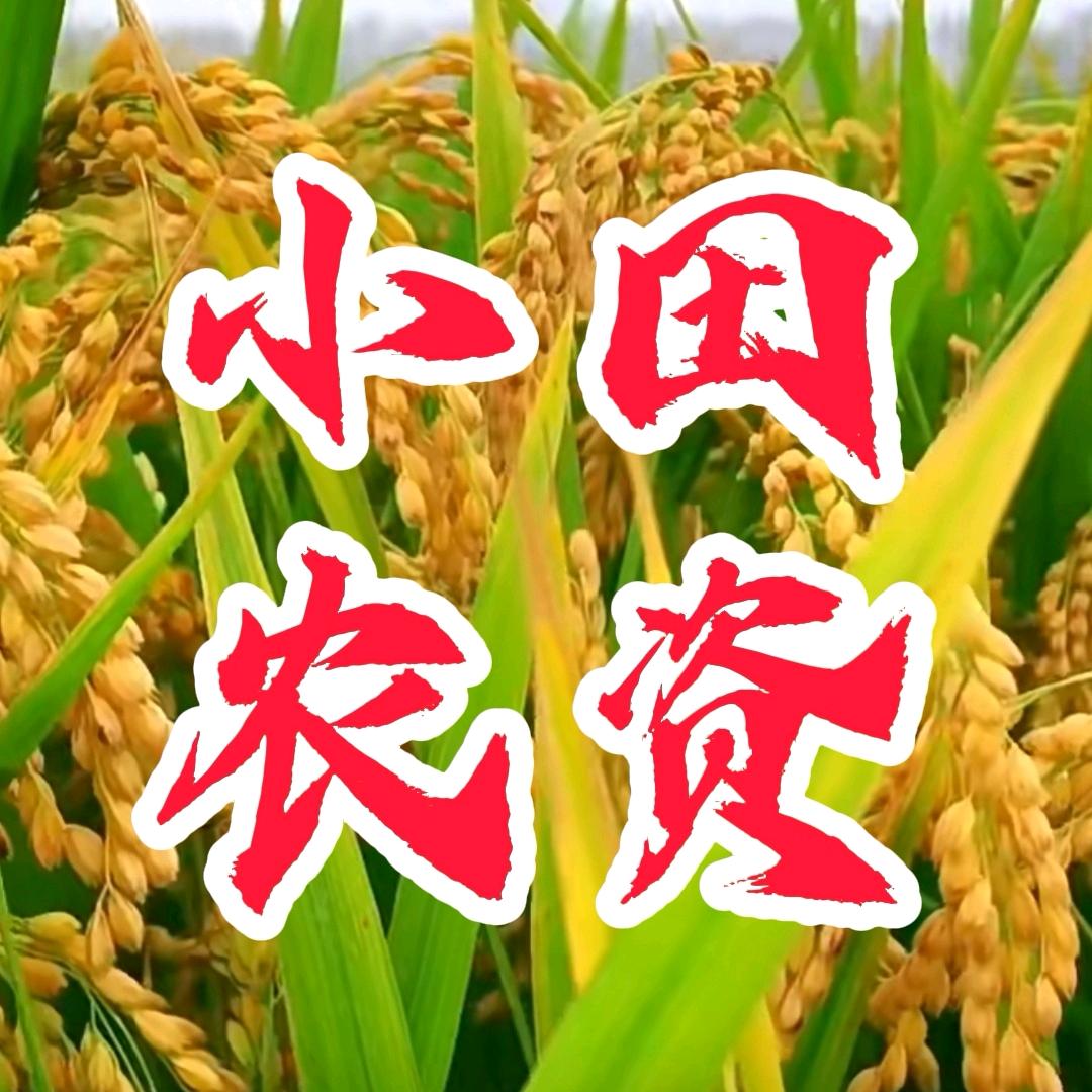 小田农资
