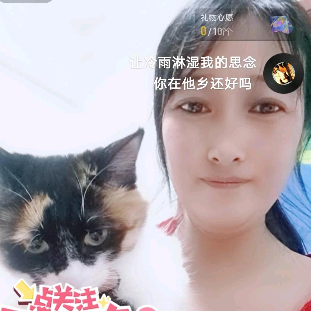 🌹一个人，小武🌹