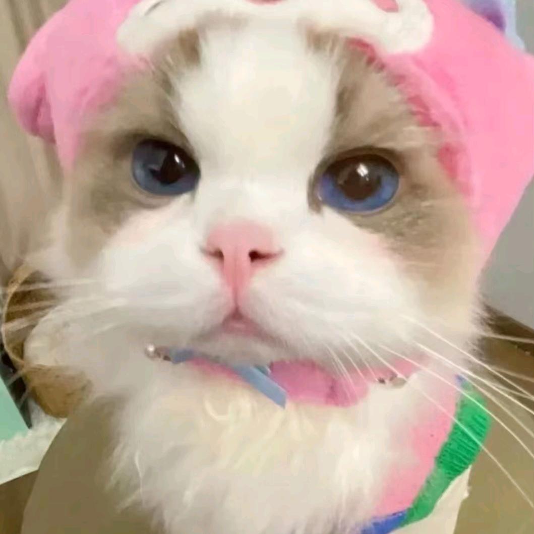 yyyyyyyy