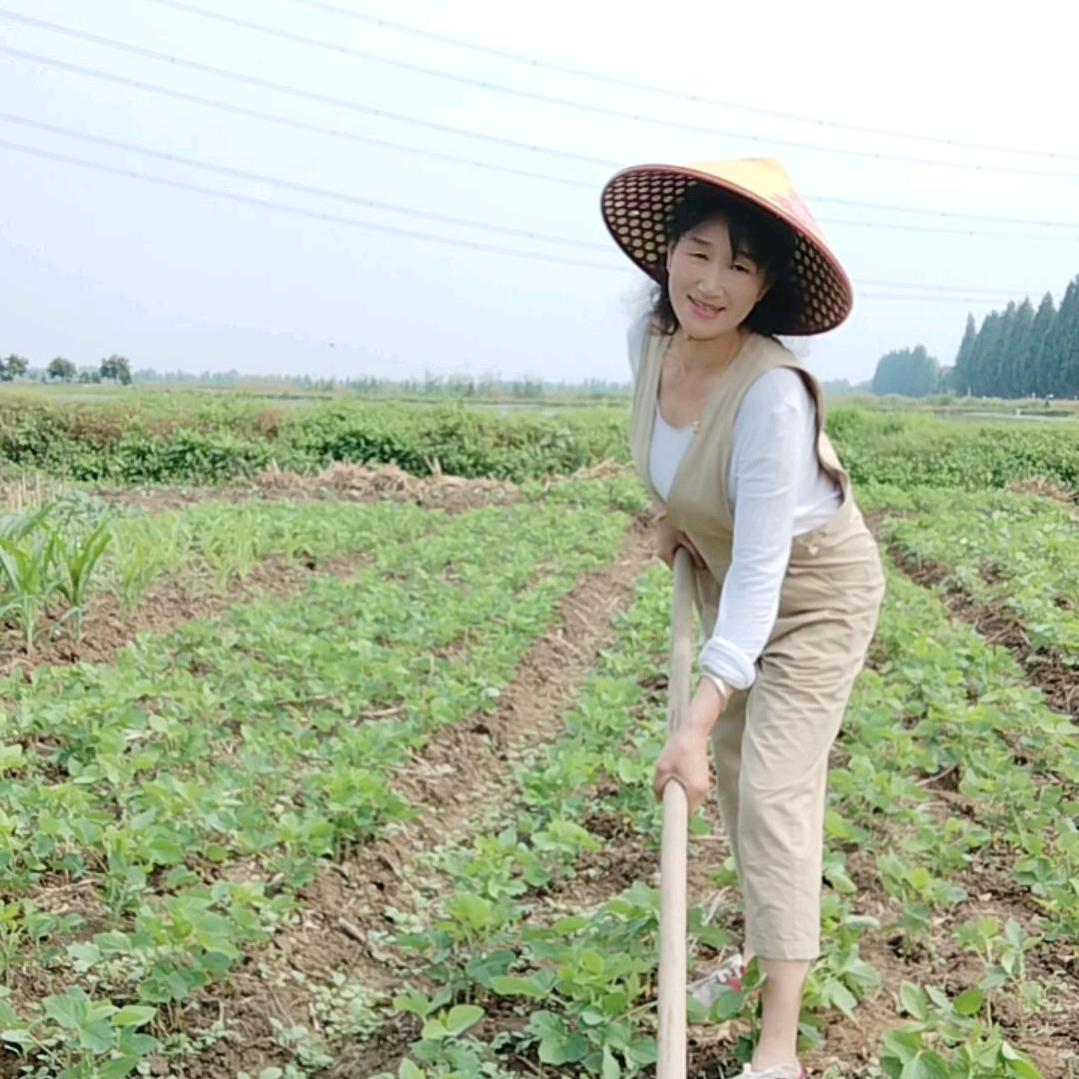 何大姐《拒绝私聊》