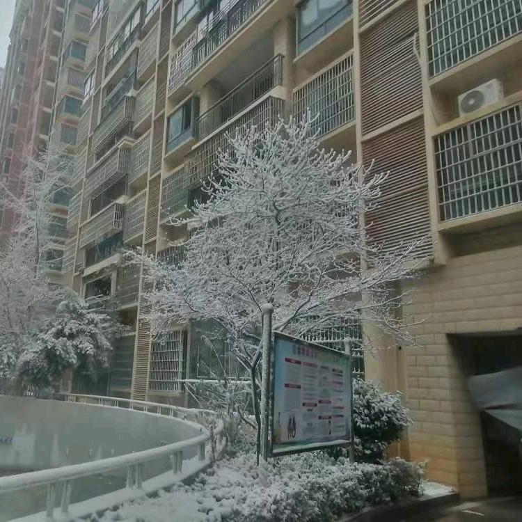 余爱