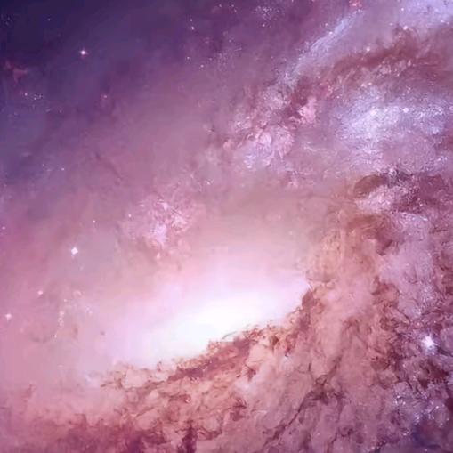 🌹玫瑰星云🌹