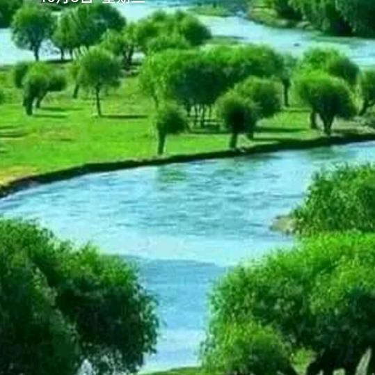 。。。。。。。