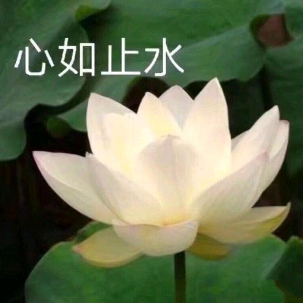 我爱抖音《早上10：20首播》