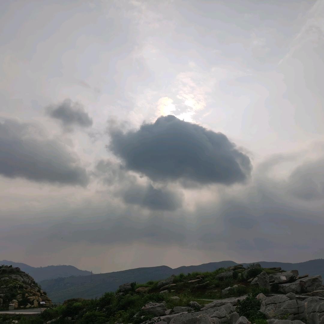 藏在云朵里☁小辉鱼🐟