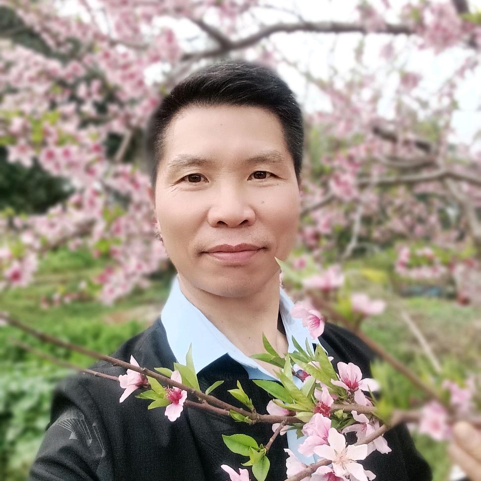 X东方不败