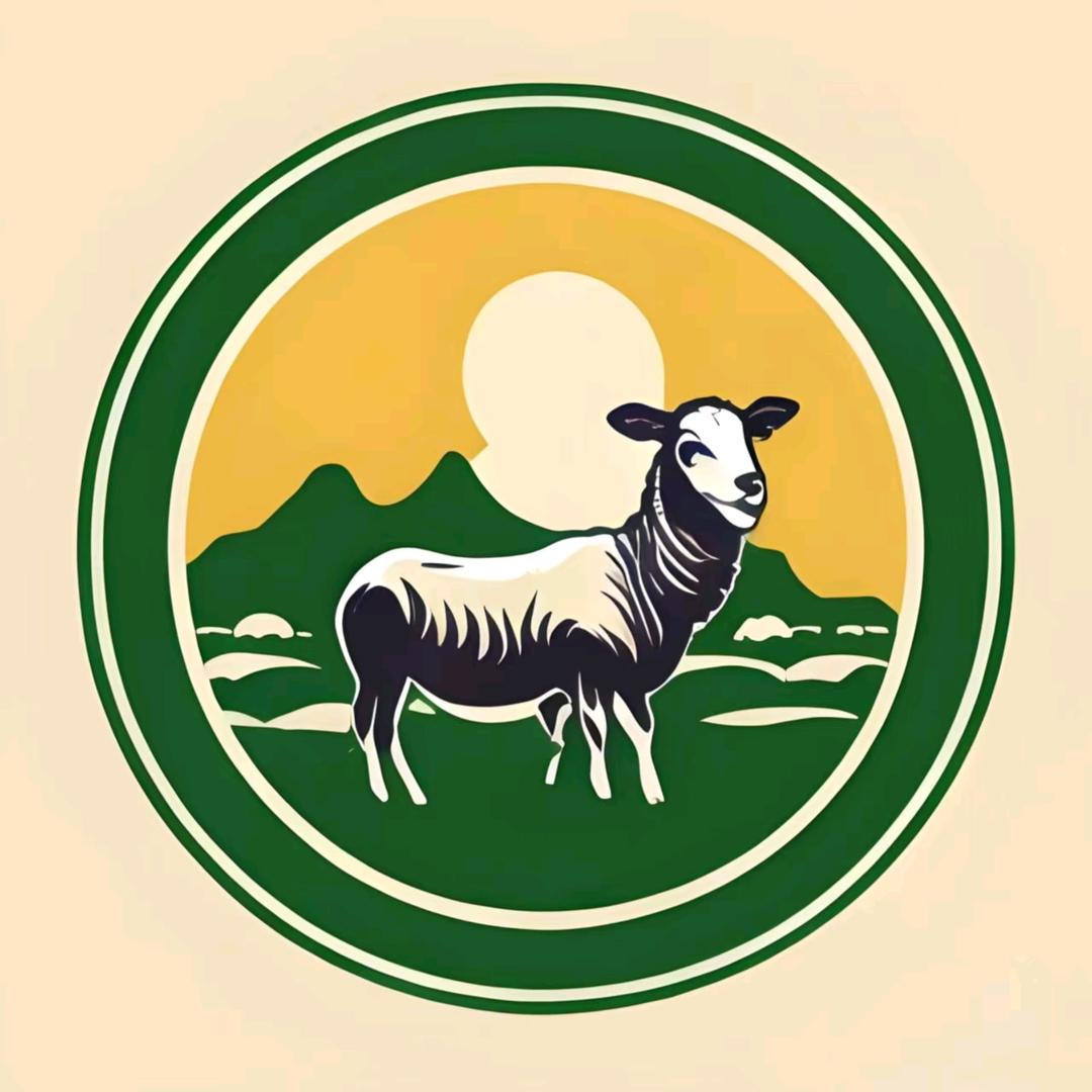 甘肃羊肉工厂
