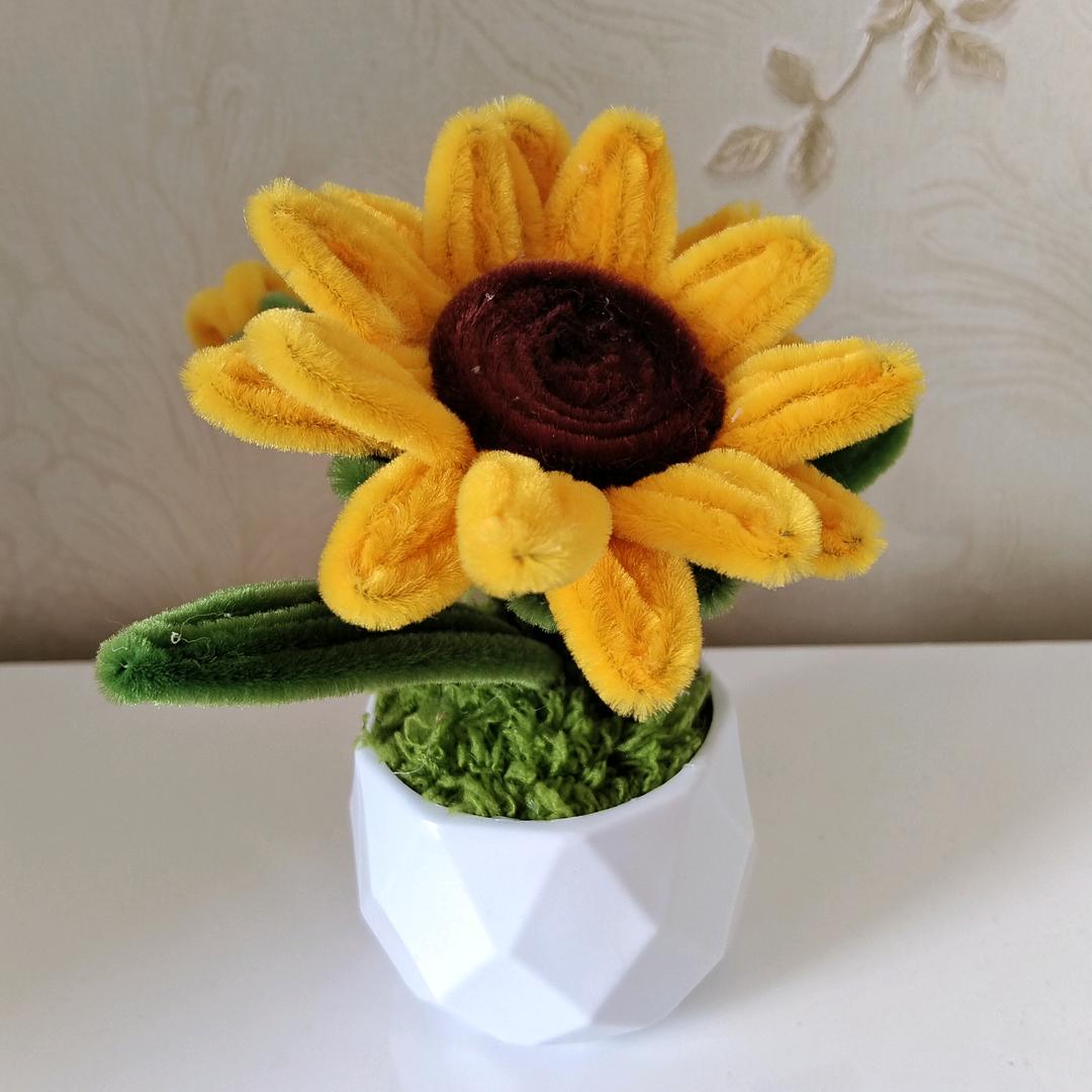 林菲