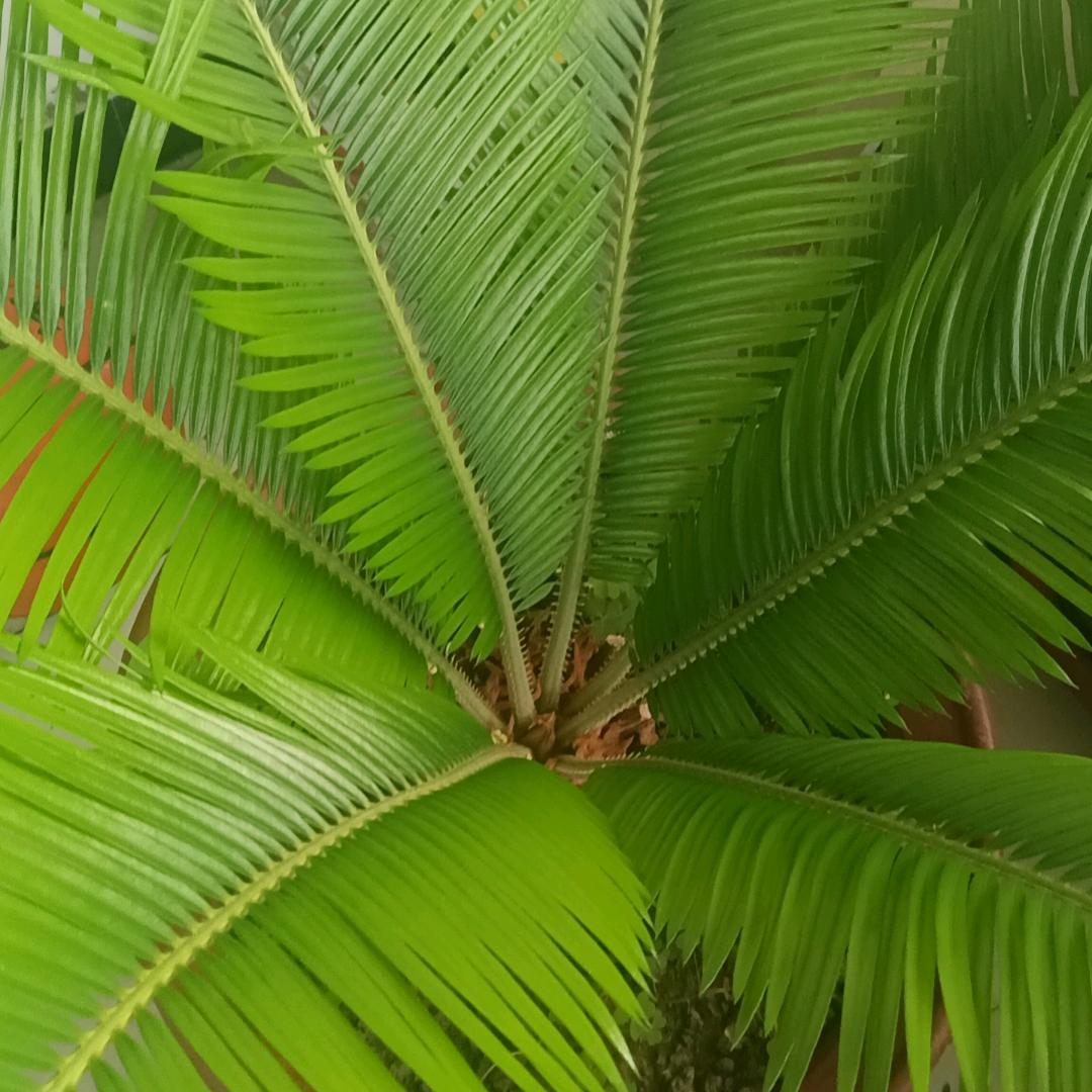 从新开始