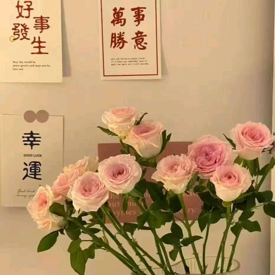 阳🌅而行🚴‍♀️🌻