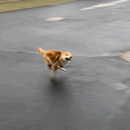 碧水青天