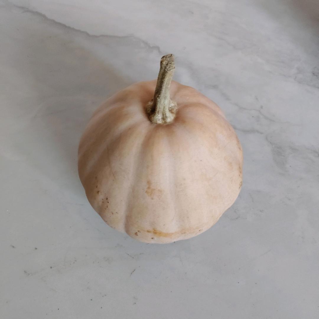 亮妹百货橱窗