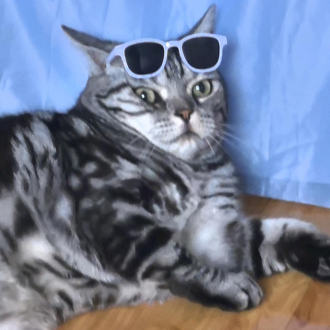 😇肥妃姐👩🔫