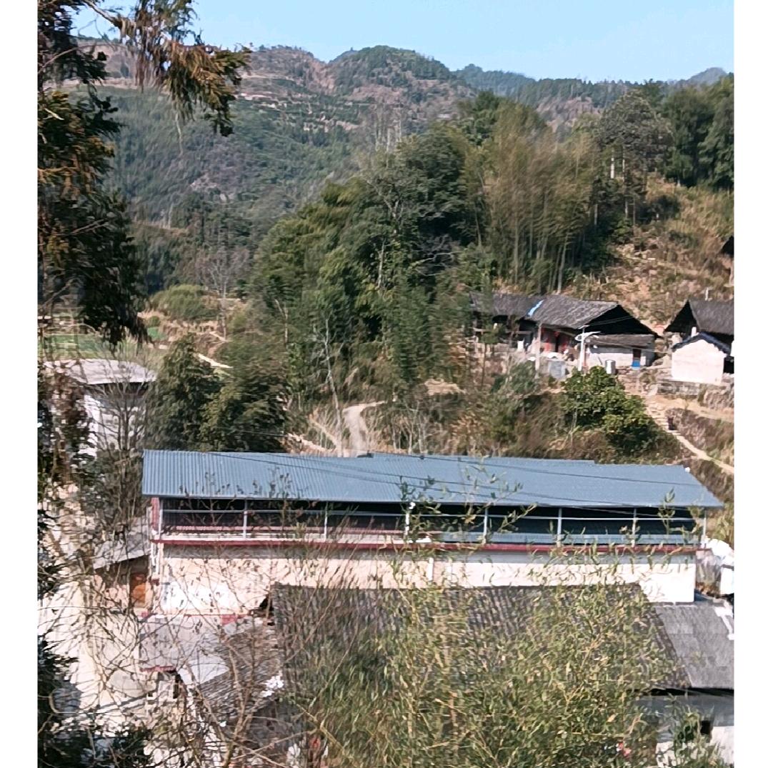 穷沟沟里面的男孩