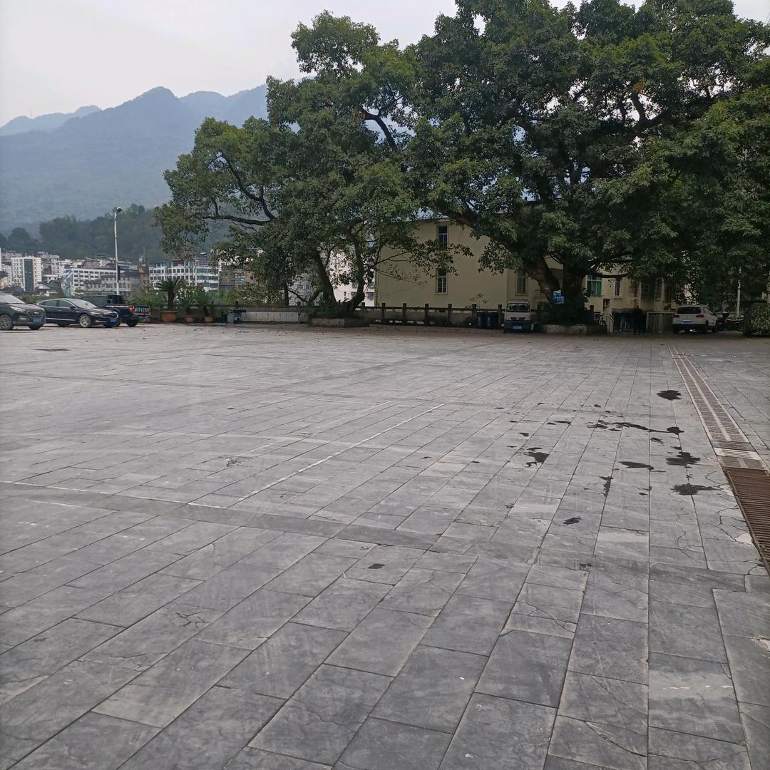 有缘分遇见