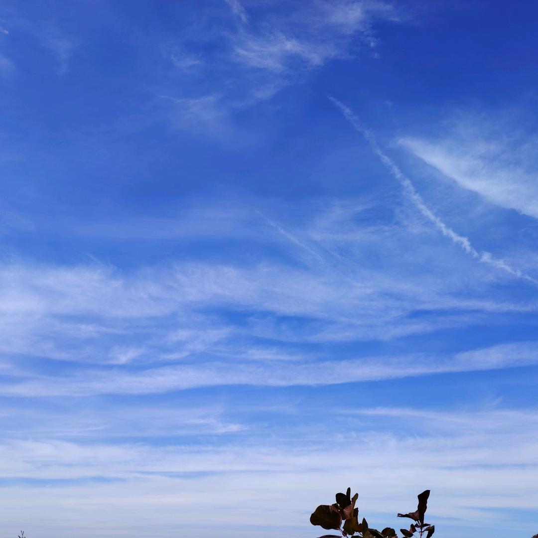 Easyhome—乐俊岭