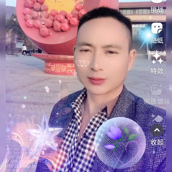 柿柿如意