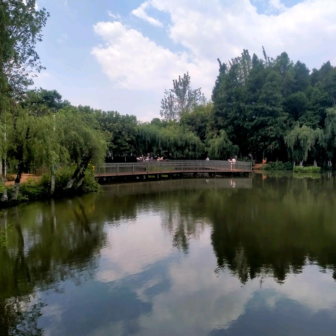 初心明媚