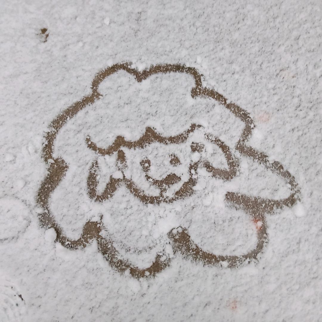 你猜我是谁🌾🍀