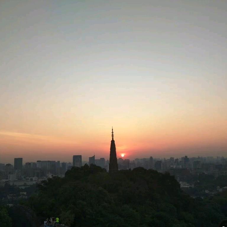 小马哥来了