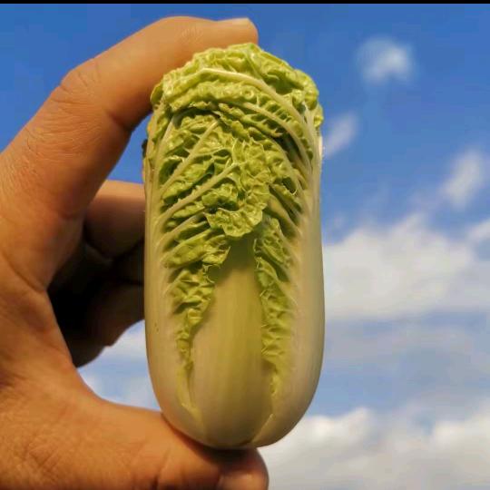 往事≈归零
