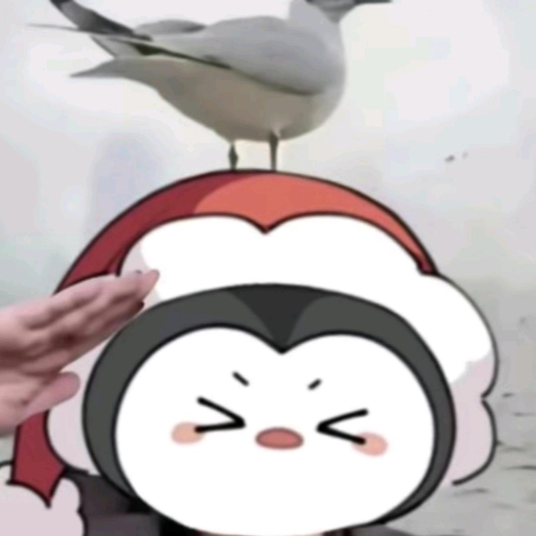 是北附企鹅诶