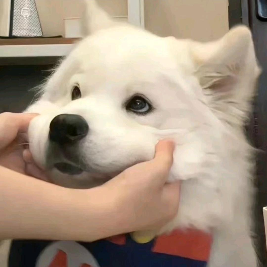 游离
